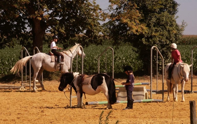 Aktivitäten Ponys Pferde 