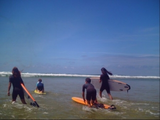 Surfons!
