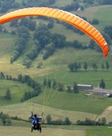  Hand Icare paparente 