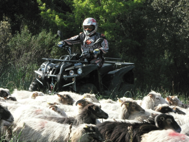  Córsega em Quad 