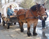  Descubra los Altos Alpes en carruaje 