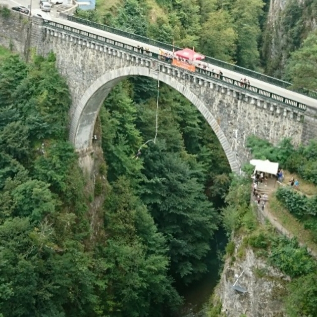  The view of the Napoleon bridge 