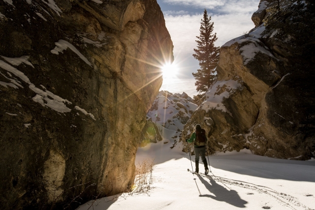  Ski touring in the Alps 