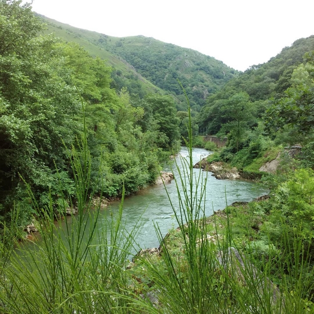  Vista del Nive 