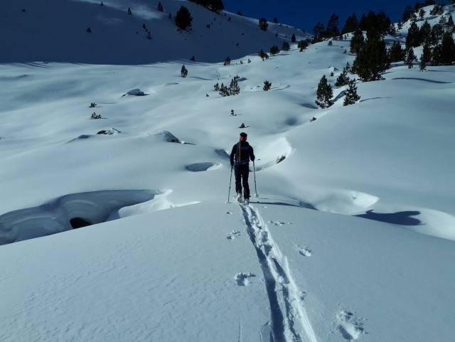 Activités de raquettes à neige