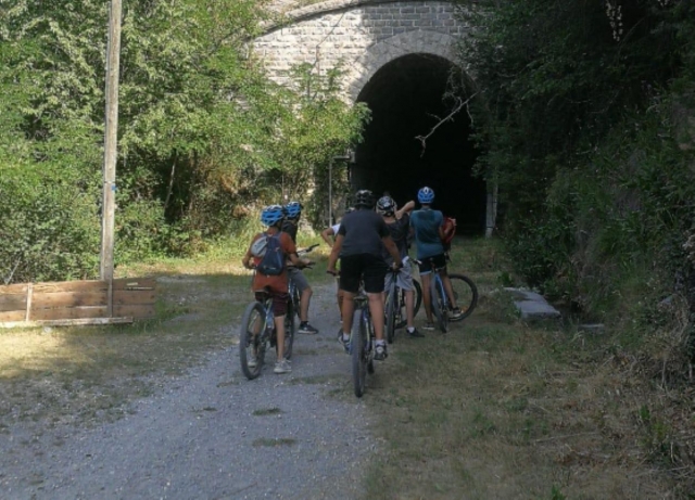  Offriamo diversi percorsi per passeggiate in bicicletta