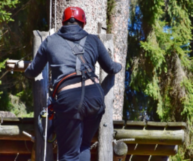 Istruttore di arrampicata sugli alberi 