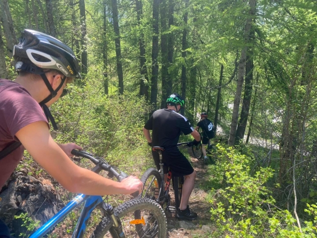  Ciclismo de montaña en los Altos Alpes 