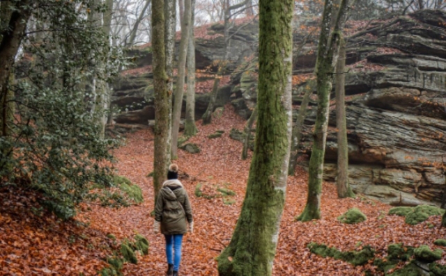  Passeggiata in mezzo alla foresta 