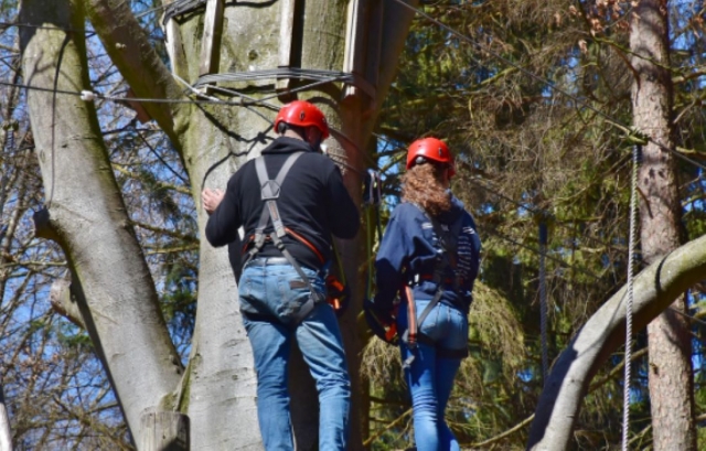  Sessione introduttiva di treeclimbing 