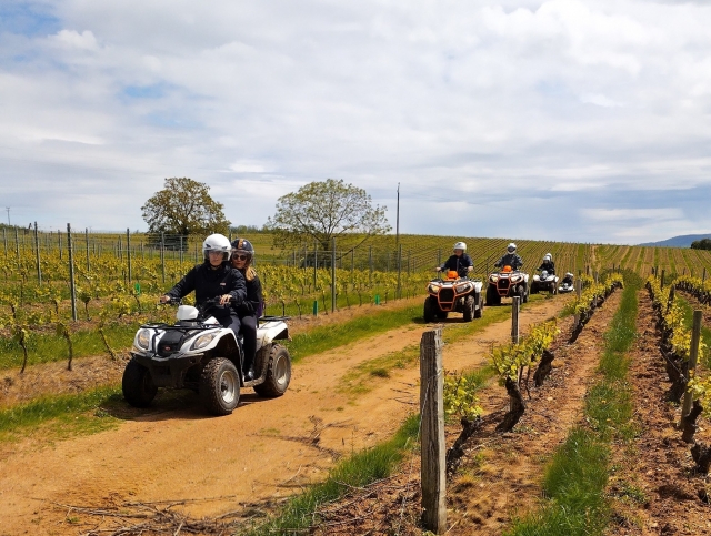  Logotipo Sports Leisure Nature -9999- Randonone Decouverte des Monts du Beaujolais 