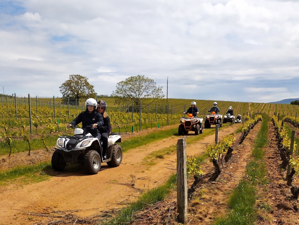  Logotipo Sports Leisure Nature -9999- Randonone Decouverte des Monts du Beaujolais 