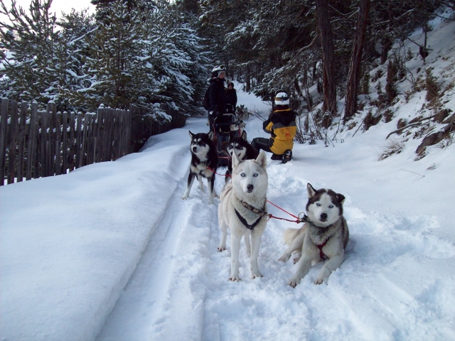iniciación a la conducción 