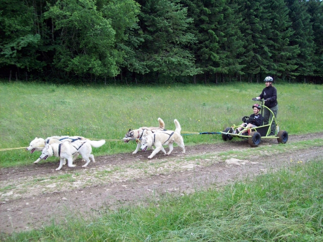  Kart de iniciación con doble puesto de conducción 