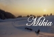 Mikia Traîneau à Chiens