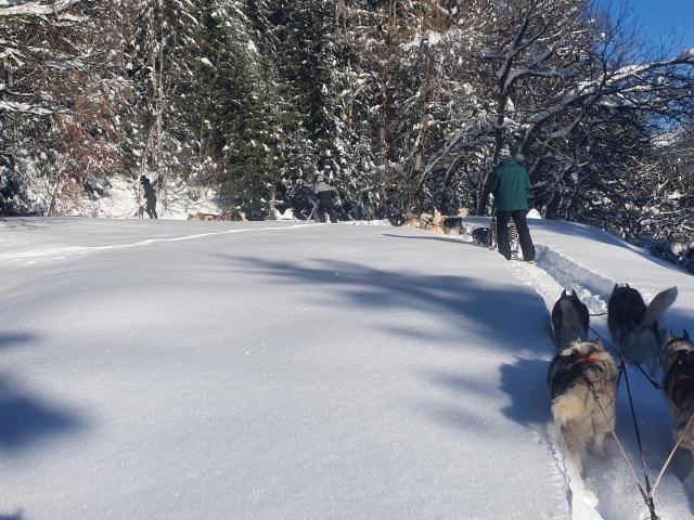 Logo Slittino Passione e Nordic Park 