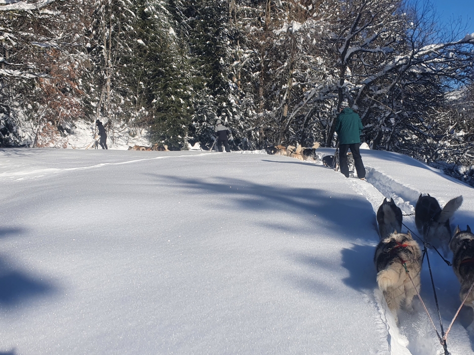 Logo Slittino Passione e Nordic Park 