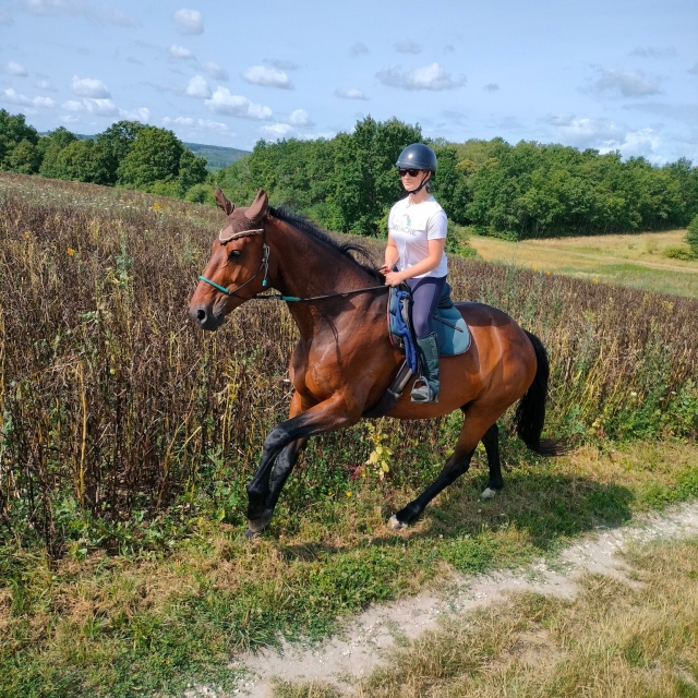 Balade à cheval en Touraine