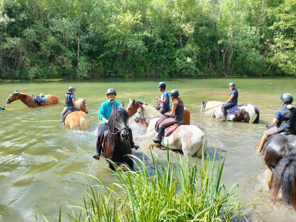 Randonnee a cheval tout type de cavalier