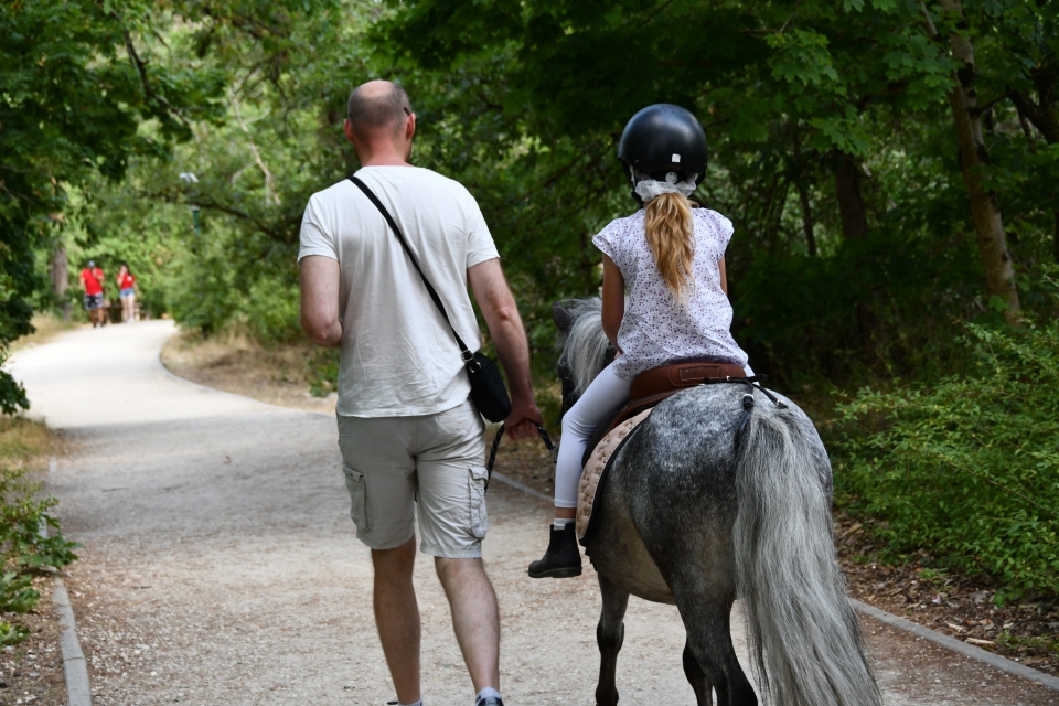 Sorties avec des poneys pres de Fontainebleau