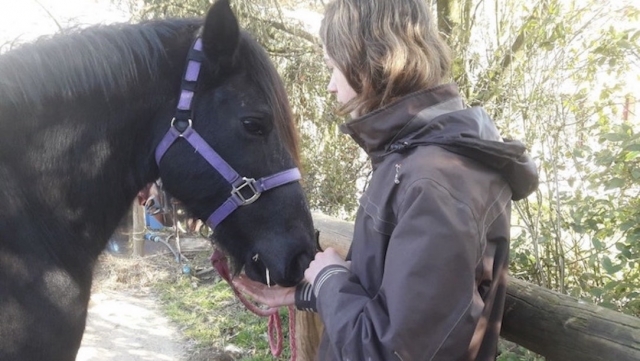  Cuida de su caballo 