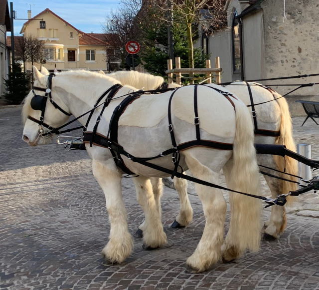 Idee de sortie familiale en Seine et Marne