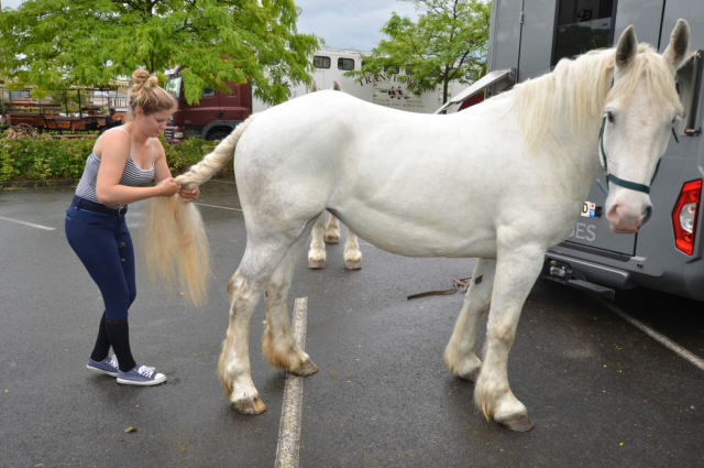 Tourisme Equestre en Seine et marne