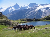 Randonnee equestres dans les Alpes du Sud