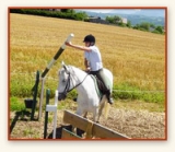 Concurso TREC cerca de Annecy 