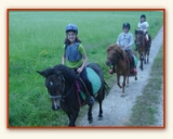  Paseos a caballo adaptados al jinete 