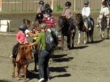  Paseos a caballo para niños con las Ecuries des Ecrins 