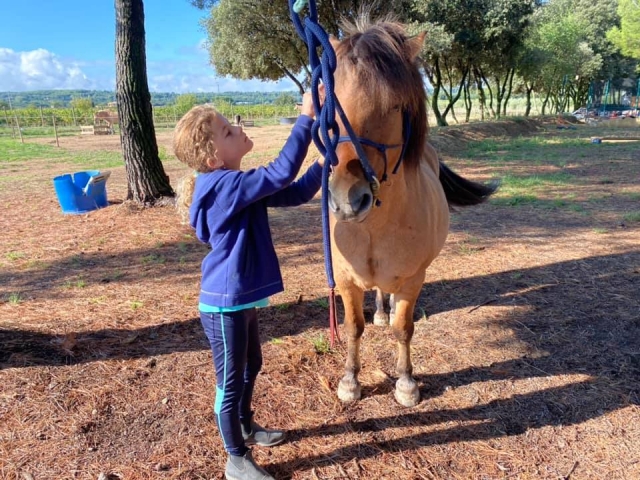  Giro in pony a Vaucluse 
