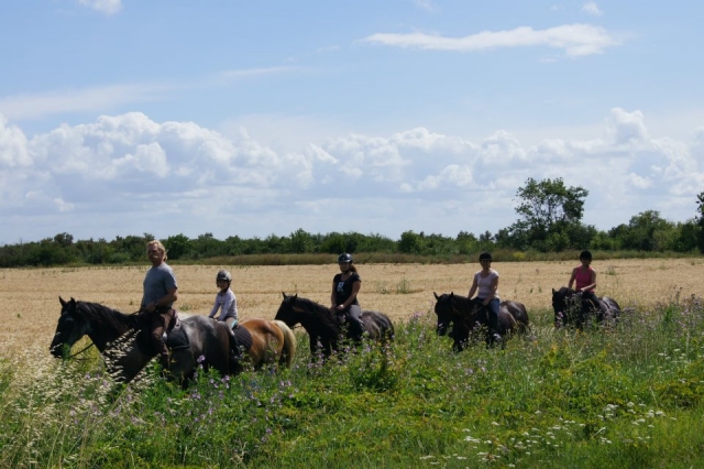 Cheval et tourisme equestre en Gironde