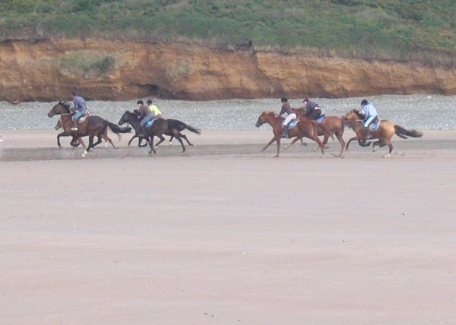 Centre Equestre Pléneuf Val André