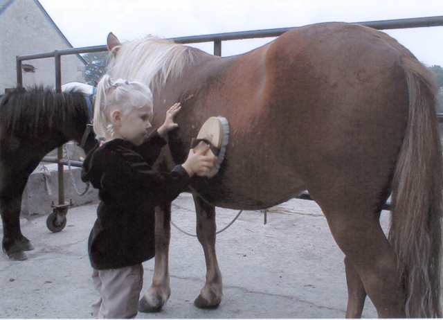 Decouverte enfant poney