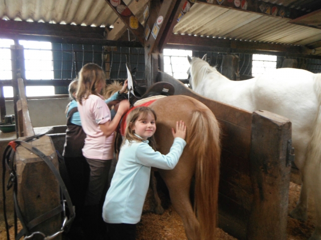 Aprendizaje y etología 