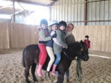  The Pony club 