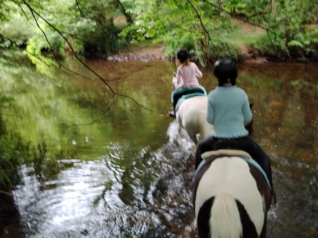  Wanderungen und Reiten in Saint Péver 