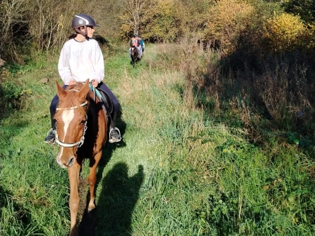 Reiten Saint-Adrien 