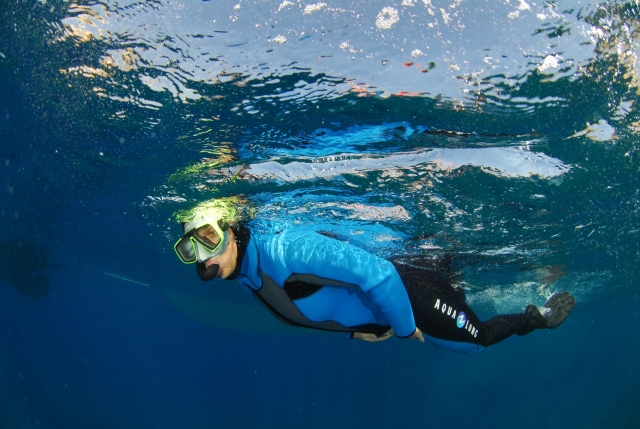  Snorkel en la Costa Azul