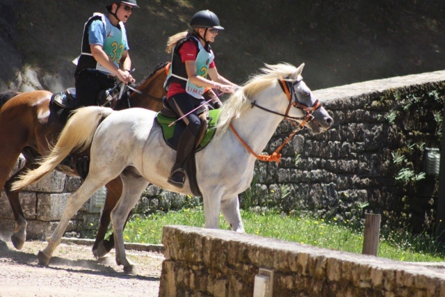  Lezioni di equitazione vicino a Limoges 