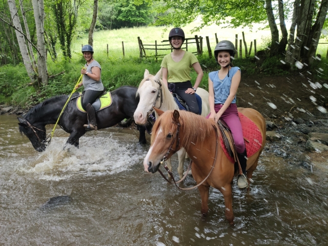  Passeggiata a cavallo rinfrescante 