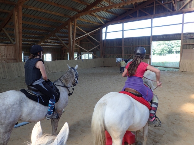  Pronti per la gita a cavallo 