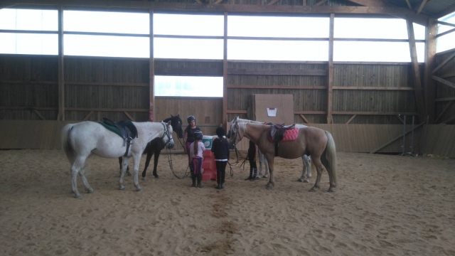  Preparazione dei cavalli per la cavalcata 