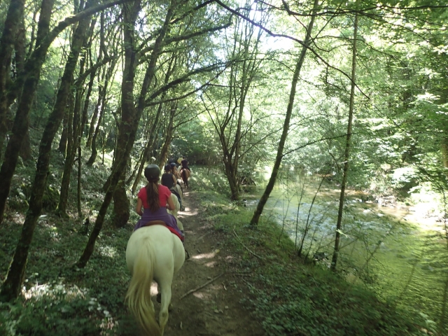  Passeggiate a cavallo nel Limosino 