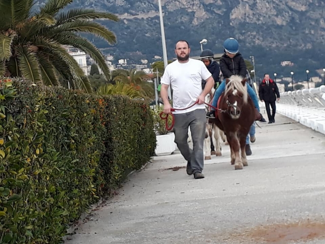  Ponyreiten für die Kleinen