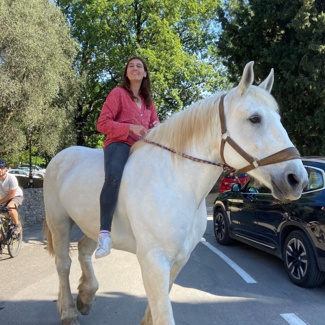  Das Vergnügen, auf einem Pferd zu reiten 