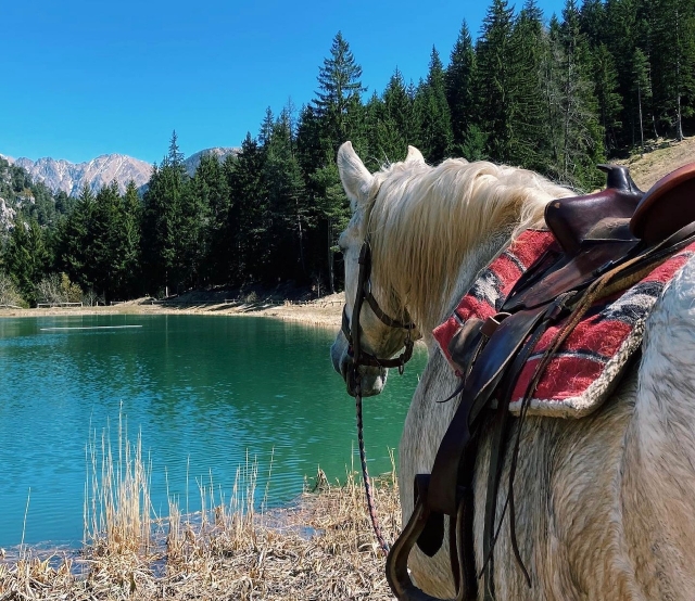  Ausritt im Parc du Mercantour 
