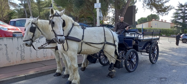  Carriage ride in the Alpes Maritimes 