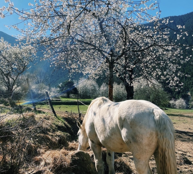  Short break during the horseback ride